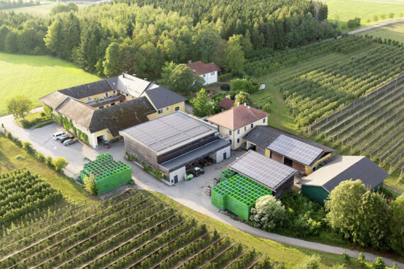 Photovoltaik für Betriebe: Die 8 häufigsten Fragen für Landwirtschaft und KMU